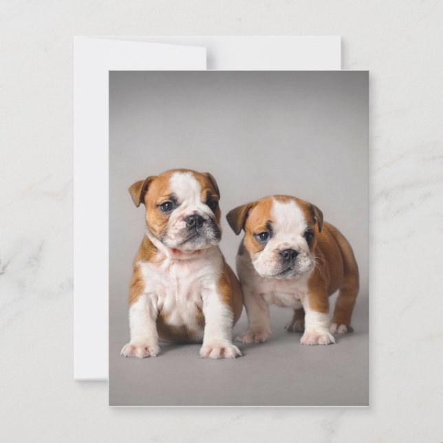 Convites Filhotes de Bulldog Inglês | Casal Fofo de Bulldog (Frente)
