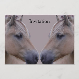 Convites Fjord Norueguês