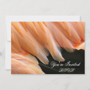 Convites Flamingo Feather_