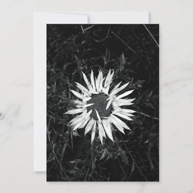 Convites Flor Antigo (Frente)