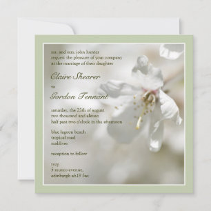 Convites Flor de cerejeira verde que Wedding Invitiation