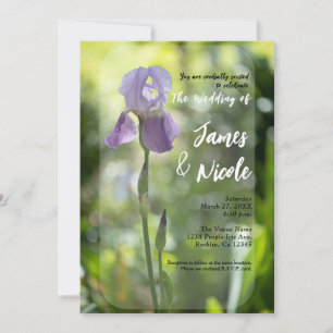 Convites Flor de Íris Roxa Casamento Primavera Verde