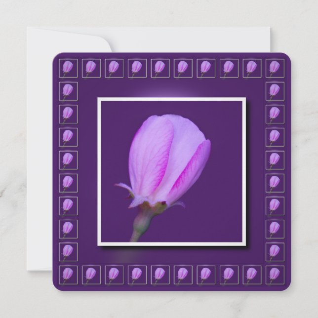 Convites Flor de Primavera rosa e púrpura (Frente)