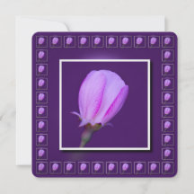 Flor de Primavera rosa e púrpura