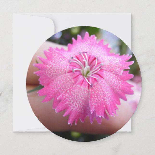 Convites Flor Rosa Brilhante Com Pontos (Frente)