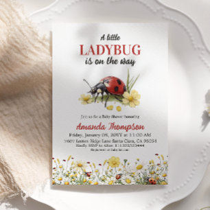 Convites Florais Rústicos Margarida Um Pequeno Ladybug Chá 