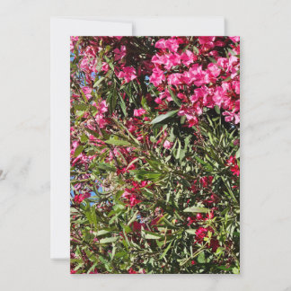 Convites Floral rosa