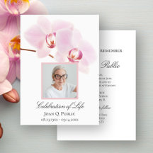 Flores de Orquídea Rosa em Celebração da Vida em B