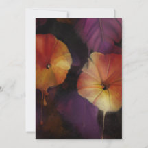 Flores Gloriosas da Manhã