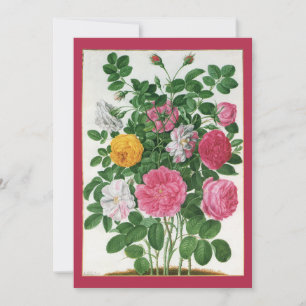 Convites Flores Vintage, Festa de Chá de Noiva de Rosas de