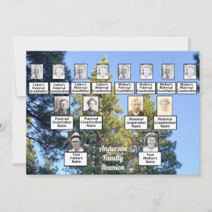 Convites Floresta de Árvore Pinheira da Família de Reuni