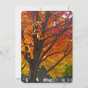 Convites Folhas de outono de Amarelo e Laranja