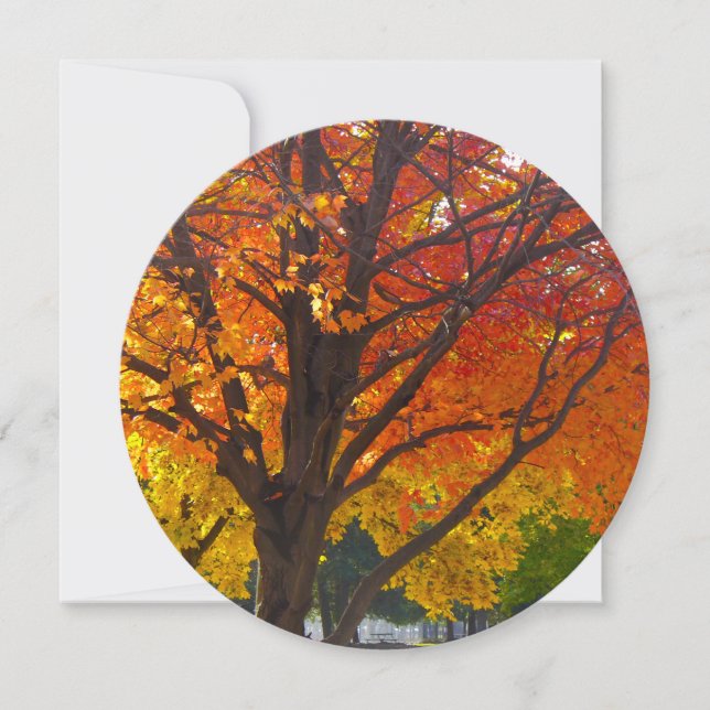 Convites Folhas de outono de Amarelo e Laranja (Frente)