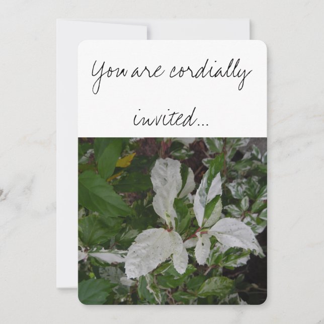 Convites Folhas Verdes e Brancas: Casamento (Frente)