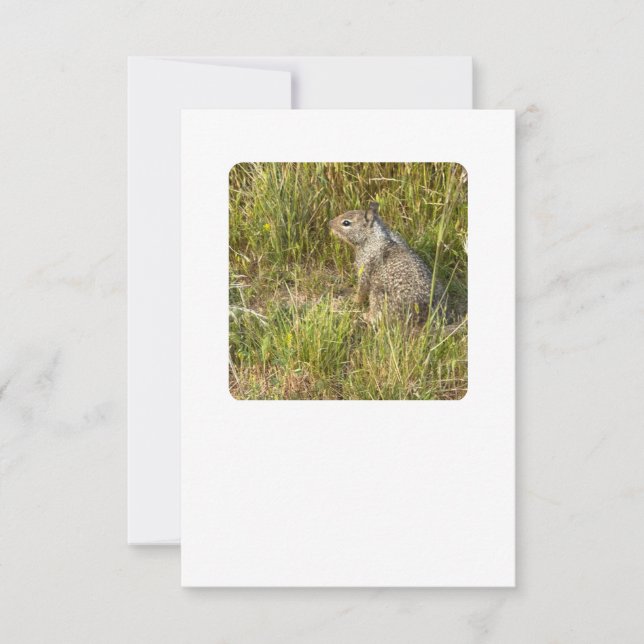 Convites forçar substituição por máscara (Frente)