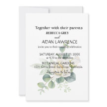 Foto botânica de eucalipto elegante