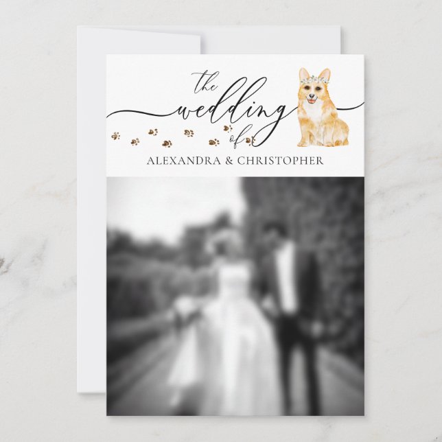 Convites Foto de casamento de cachorrinho Corgi (Frente)