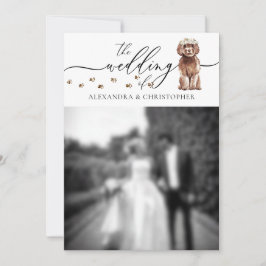 Convites Foto de casamento do cachorrinho Cavapoo marrom