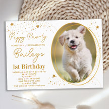 Foto de Pet Personalizada Estrelas Douradas Cachor