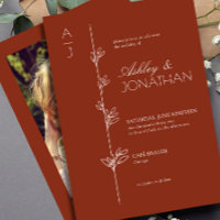 Foto de Sequoia Redwood do Divisor Botânico Modern