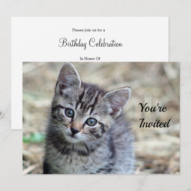 Convites Foto do dia de aniversário de Kitten Tabby (Frente/Verso)