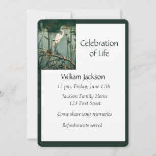 Convites Foto do Memorial Convidar Pássaro de Água Egret