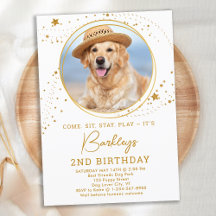 Foto personalizada de animais de estimação, Dourad