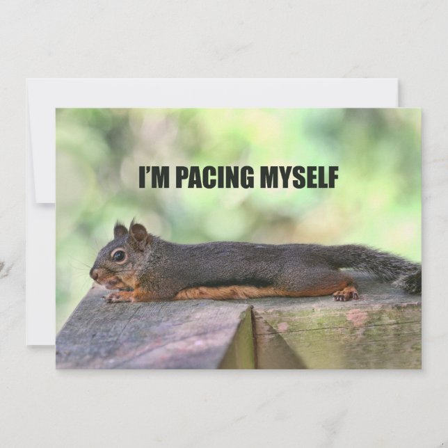 Convites Foto preguiçosa do esquilo (Frente)