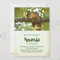 Fotografia da Natureza de Esquilo Curioso Fofo de 