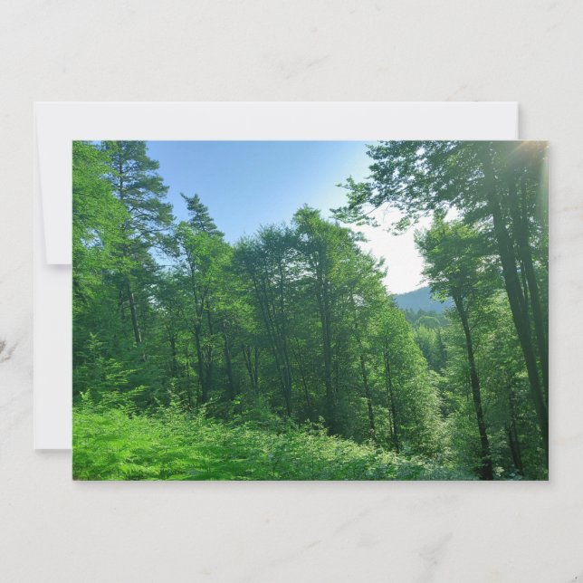 Convites Fotografia de Paisagem Verde (Frente)