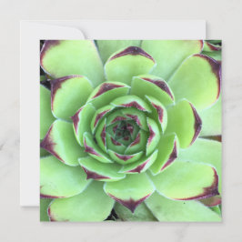 Convites Fotografia de Suculenta Verde e Roxo Escuro Casame