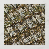 Fotografia do Abstrato do Alligador Molhado