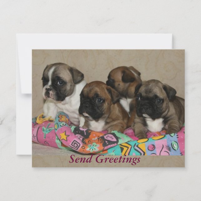 Convites Französische Bulldogge Frohe Weihnachten (Frente)