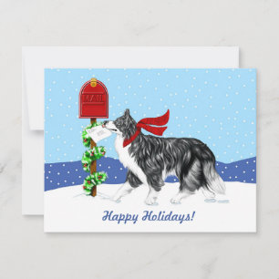 Convites Fronteira de Natal: Collie Mail