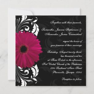 Convites Fuchsia Scroll Gerbera Daisy w/Black and White