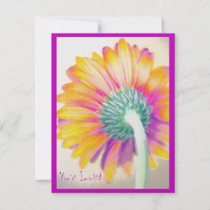 Convites Funky Gerbera