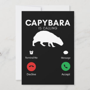 Convites Funny Capybara Humorous Capybaras