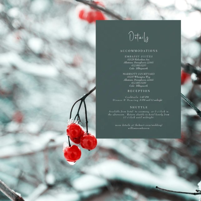 Convites Gabinete de Detalhes do Casamento Teal (Criador carregado)