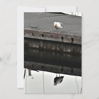 Convites gaivota reflexiva