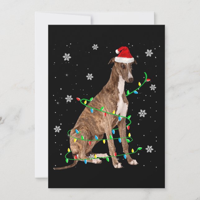 Convites galgo luz de natal santa fofo galgo (Frente)