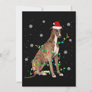 Convites galgo luz de natal santa fofo galgo