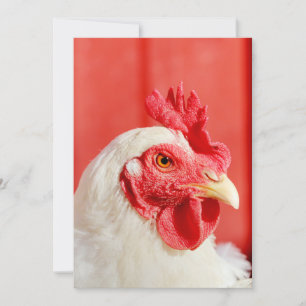 Convites Galinha fazenda