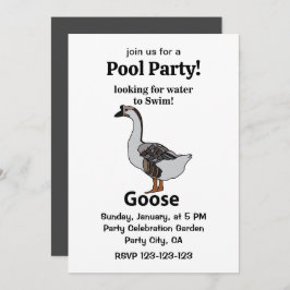 Convites Ganso Procurando Água Para Nadar Ganso Africano