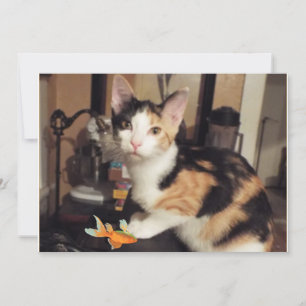 Convites Gatinho Calico com Presente de Peixe para Você Car
