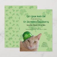 Gatinho Fofo Chapéu de Trevo Dia de São Patrício F