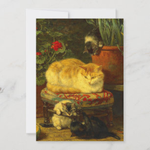 Convites Gatinhos ao Brincar