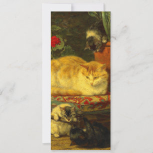 Convites Gatinhos ao Brincar