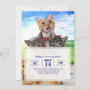 Convites Gatinhos engraçados em campo verde.