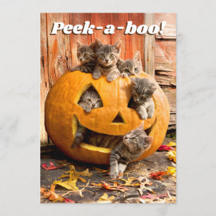 Convites Gatinhos na Abóbora de Halloween