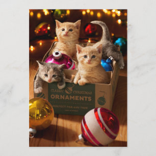 Convites Gatinhos na Caixa de Enfeites